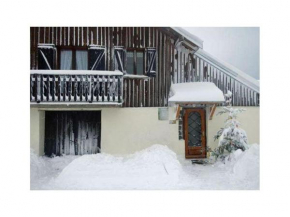 Gîte nature, 15 km de Gérardmer, randonnée, ski, jardin, terrasse, BBQ, équipements bébé inclus - FR-1-589-64